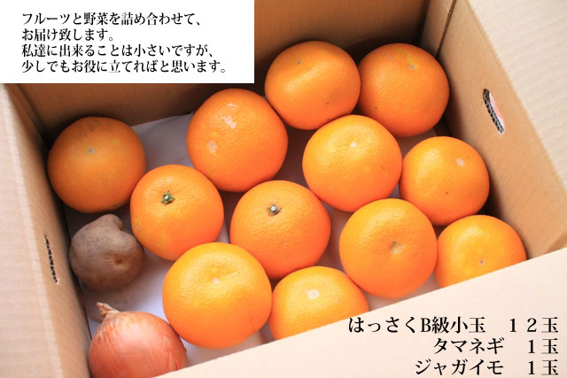 フルーツ類はハッサクを中心