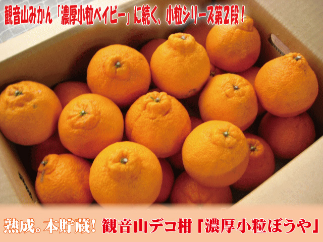 小粒シリーズ第2弾