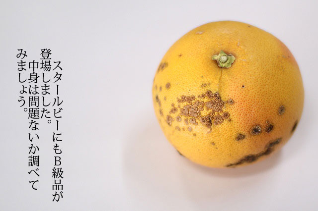 スタールビーにもB級品が登場