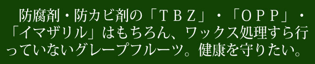 国産グレープフルーツ