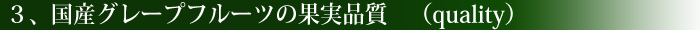 国産グレープフルーツの果実品質