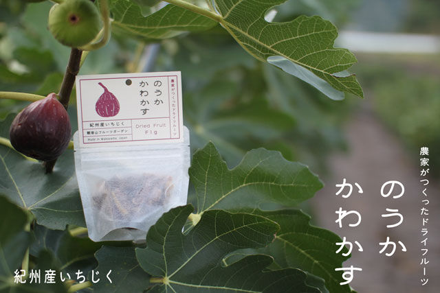 のうかかわかす:ドライイチジク