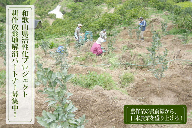 和歌山県耕作放棄地解消プロジェクト