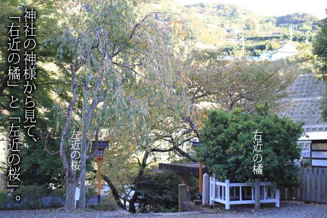 右近の橘、左近の桜