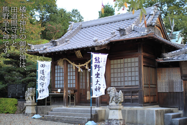 橘本神社様が「橘本（橘の本）」たる由縁