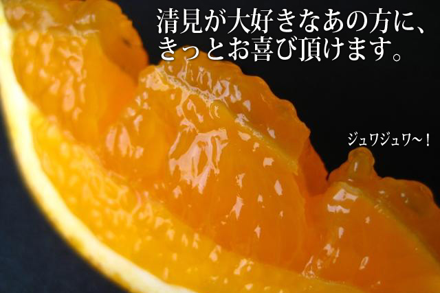 清見オレンジ　高級