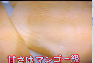 ごきげん!ブランニュ⑥