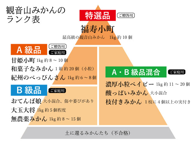 観音山みかん階級表