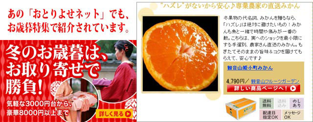 和歌山みかん 姫小町