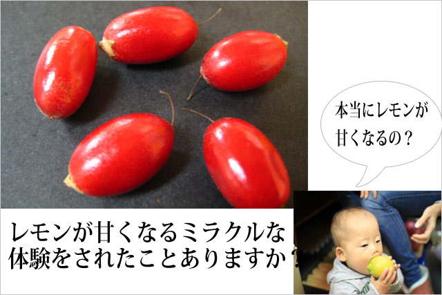 �ߥ饯��ե롼��