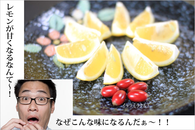 �ߥ饯��ե롼��