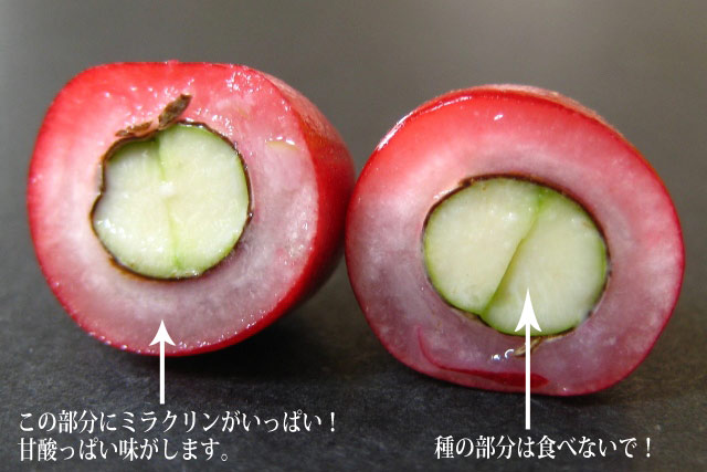 �ߥ饯��ե롼��
