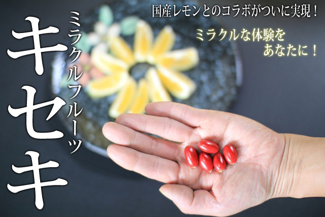 �ߥ饯��ե롼��