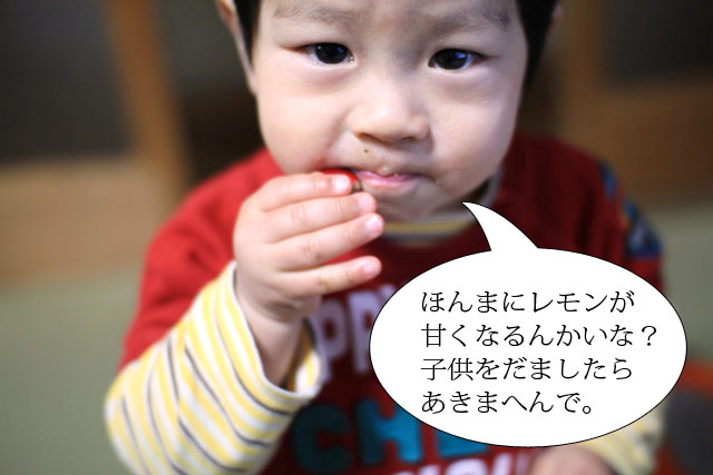�ߥ饯��ե롼��