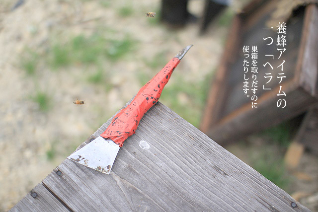 養蜂アイテム:ヘラ
