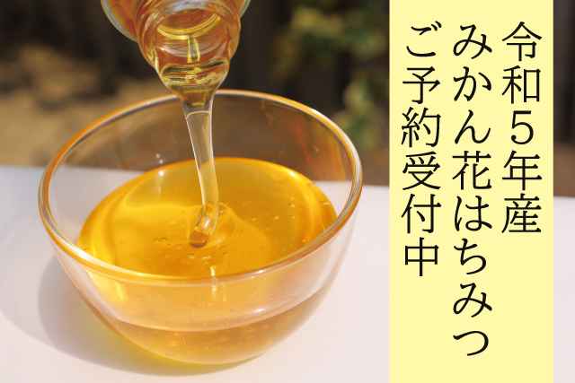 みかんはちみつ