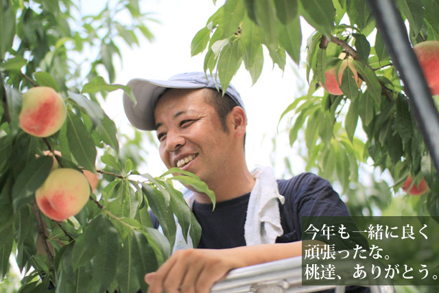 園田さんの渾身作の桃を朝もぎの熟れ熟れで発送します!