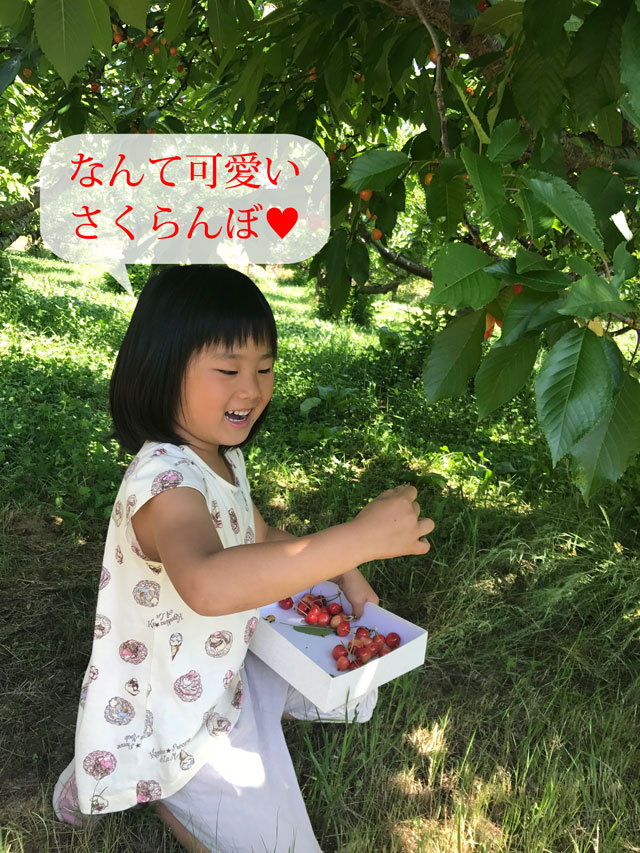 農園直送さくらんぼと子供