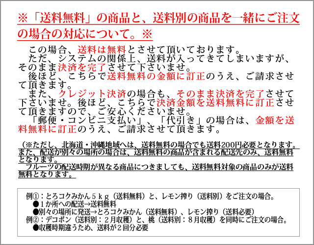 送料についての説明