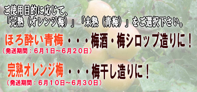 梅酒と梅干用にそれぞれ分けてご注文下さい。