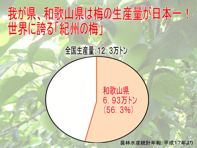 和歌山県は梅の生産量が日本一!なんと全国の半分以上は和歌山産なんです!!