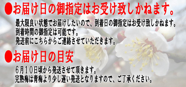 ●お届け日の御指定はお受け致しかねます。最大限良い状態でお届けしたいので、到着日の御指定はお受け致しかねます。到着時間の御指定は可能です。発送前にこちらからご連絡させていただきます。●お届け日の目安６月１０日頃から発送させて頂きます。完熟梅は青梅より少し遅い発送となりますので、ご了承ください。