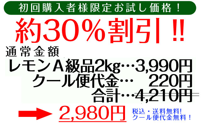 減農薬栽培・ノーワックス、ノー防腐剤の国産レモンを、農園直送でどうぞ！