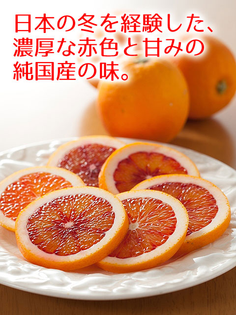 国産ブラッドオレンジ｜ブラッドオレンジを農家直送｜国産のブラッドオレンジ