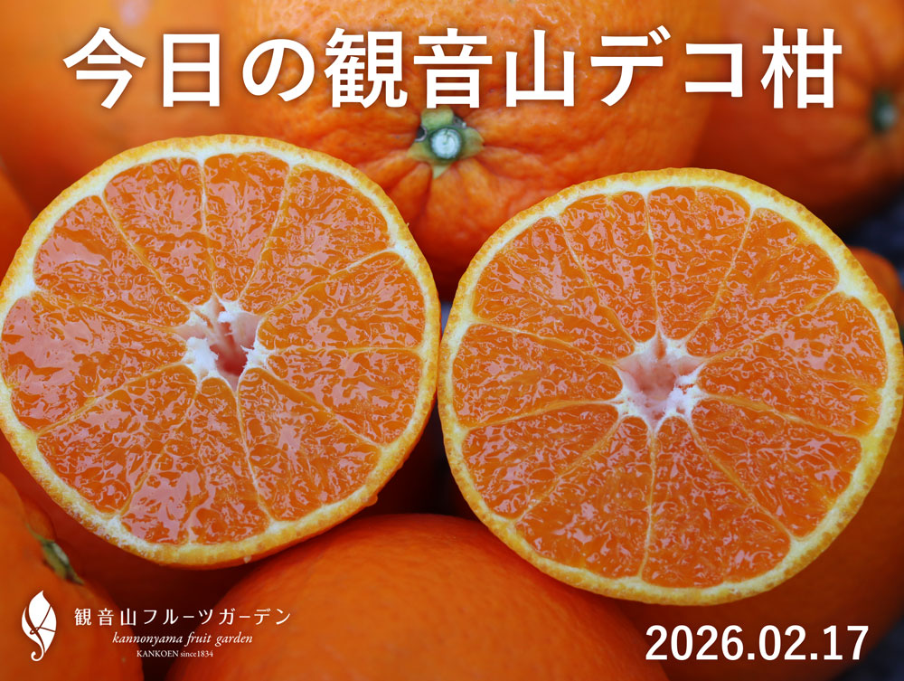 観音山しらぬい