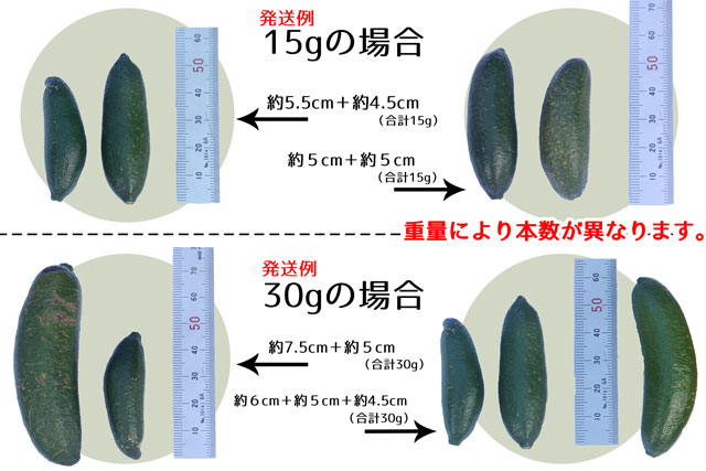 重量の違い