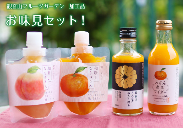 みかんサイダー(みかん農園サイダー)和歌山県産みかん果汁51%入り みかんサイダー(みかん農園サイダー)和歌山県産みかん果汁51%入り