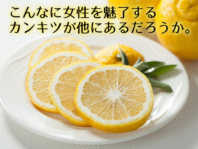 柑橘：はるかみかん