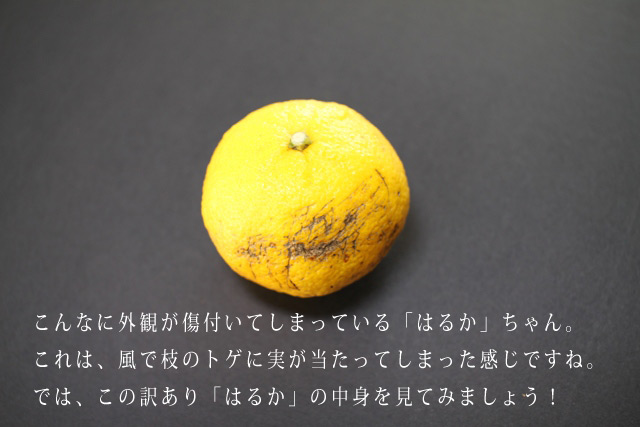 ĤϤ뤫ߤ
