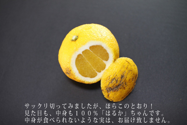 ȤϤ줤