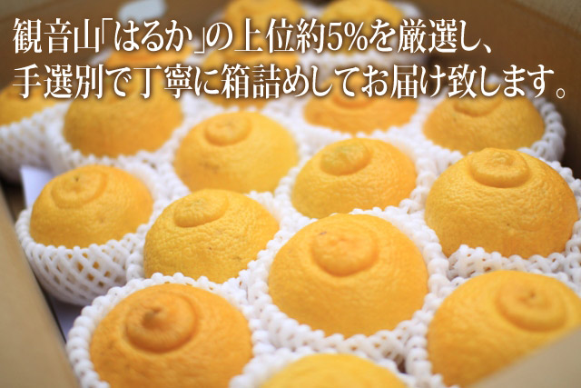 Ϥ뤫