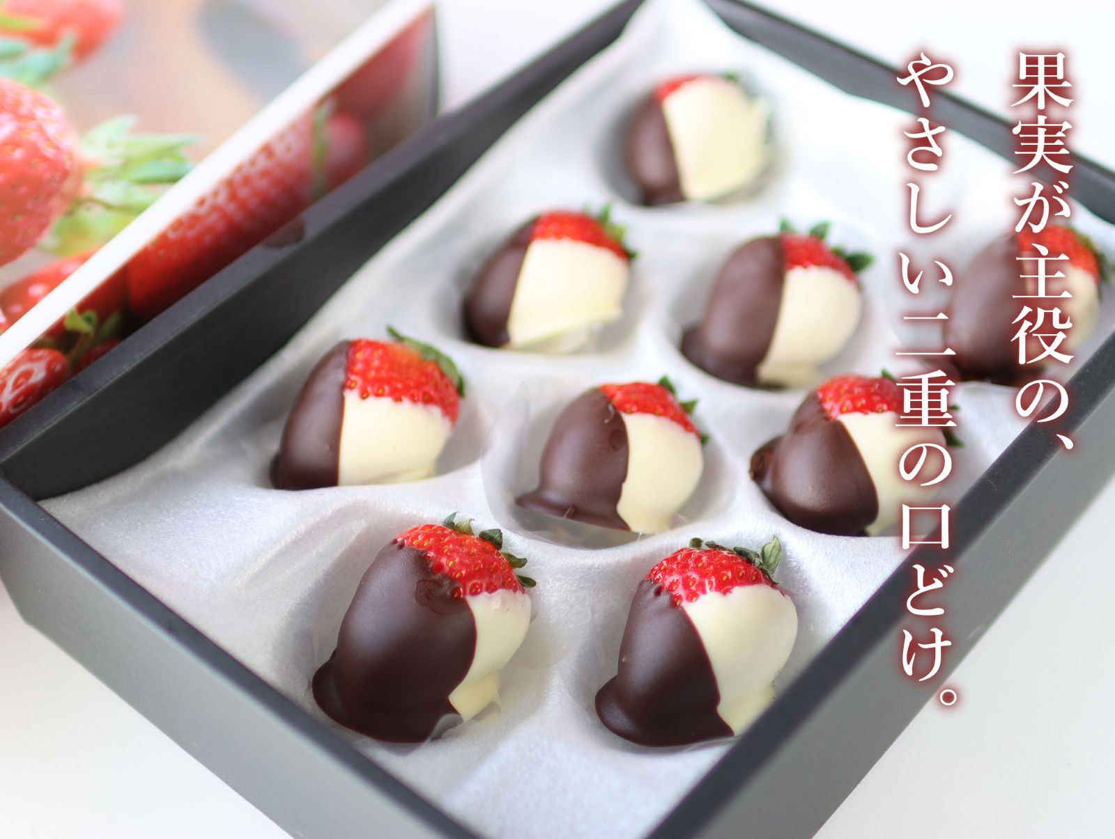 いちごチョコレート二層仕立て