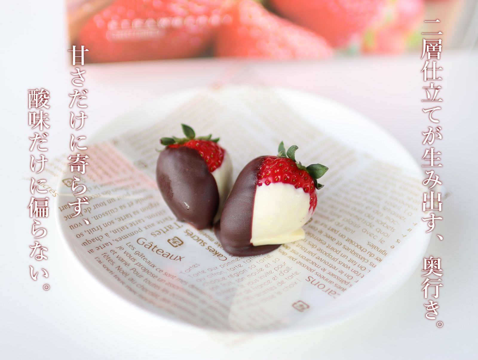 いちごチョコレート二層仕立て