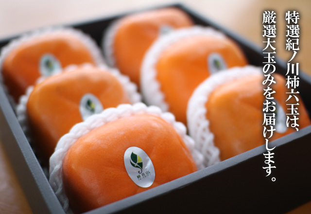 紀の川柿黒い柿