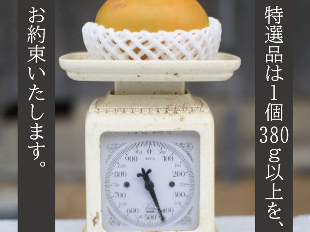 太秋柿特選
