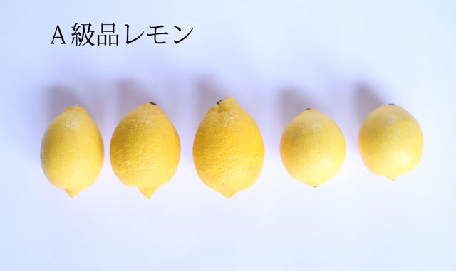 Ａ級品レモン