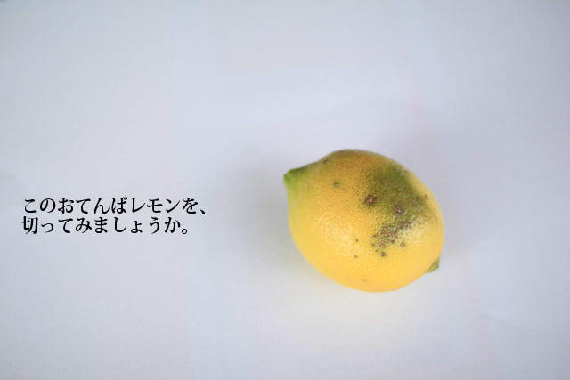 Ｂ級品レモン