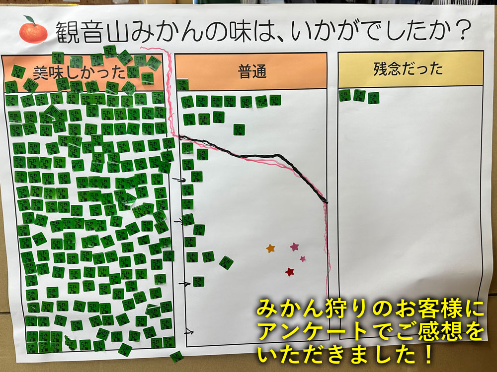 和歌山みかん