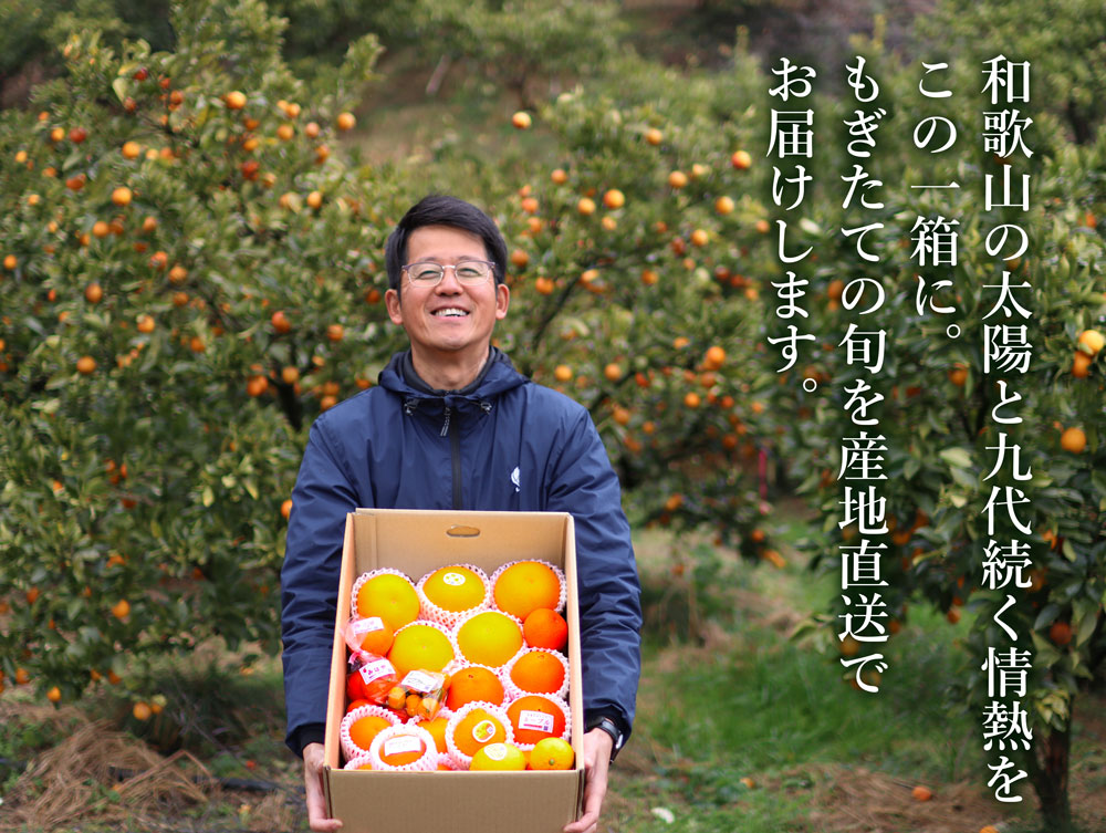 フルーツ詰め合わせ