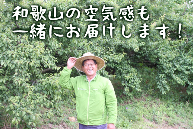 こちらの和歌山県梅も観音山フルーツガーデンが責任を持ってお届けします！